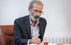 زارعی: عراق گوشت قربانی در بین احزاب است