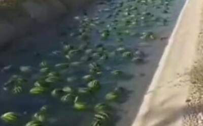 فیلم/ رودخانهٔ هندوانه در بوشهر را ببینید  <img src="https://cdn2.jahannews.com/images/video_icon.png" width="11" height="10" border="0" align="top">