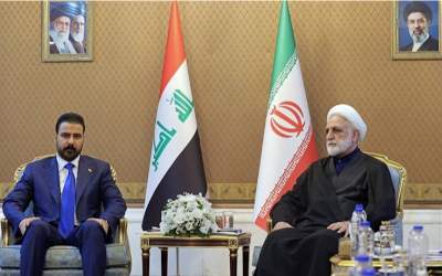اژه‌ای: برای ترامپ تنها یک راه وجود دارد